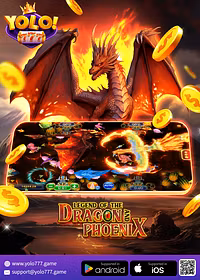 My Card Drop LLC 