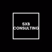 consulting 1-1