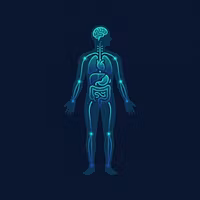 50 Secrets About Your Body
