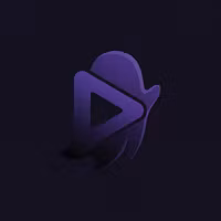 Shadow Uploads