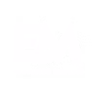 Evolution Markets FX