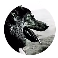 Educación Canina Uruguay