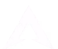 CEO Athlete