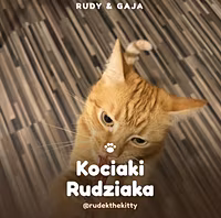 Kociaki Rudziaka
