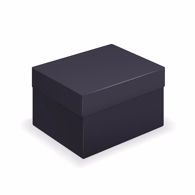 Black Box AI