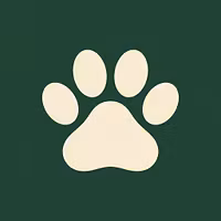 Paws & Play