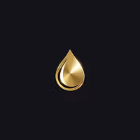 Shine Mobile Detailing