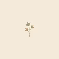 Wild Canvas