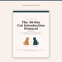 The Second-Cat Protocol