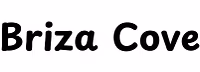 Brizacove
