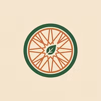 Recycled Rides