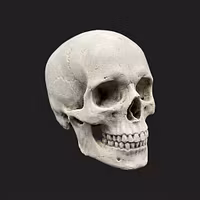 SpookyStl