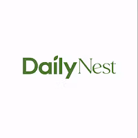 Daily Nest