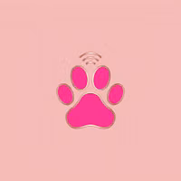 PAW PINK MIAMI