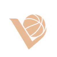 VisiBasket