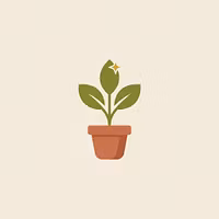 Spark & Soil