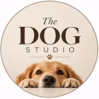The Dog Studio