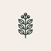 Rowan