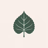 Linden