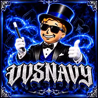 VVSNAVY
