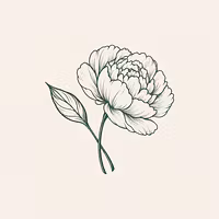 Bloom & Stem