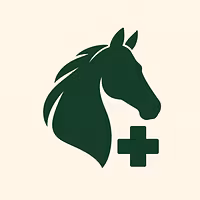 learning safely hourse riding