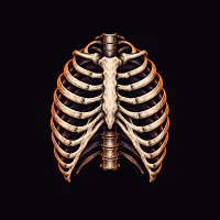 RIBCAGE