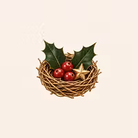 MerryNest