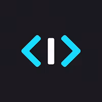 Software developer