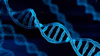 Peptide Master Lab