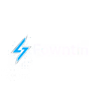 Fowntin Acquisition