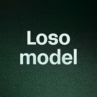 Loso model 