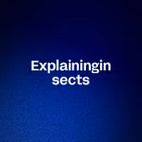 Explaininginsects