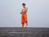 Shaolin Online Program