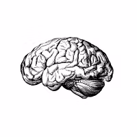 Chronic Headache Reset™