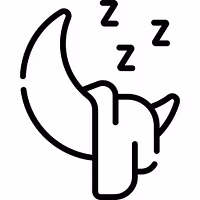 The Power of Sleep