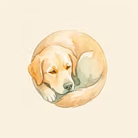 Dog Years