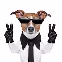 whop store