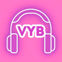 VYB369