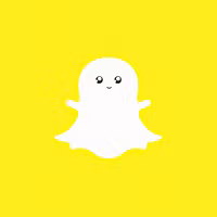 Million Dollar Snap