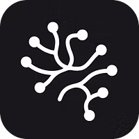 Ghostlive Inc