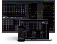 Gold Forex Expert Advisor EA