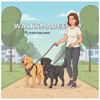 Walks Made Easy 