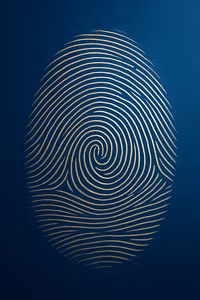 CM Forensics Academy 
