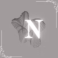 Noir: Create, Grow, Monetize.