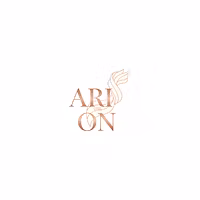 Ari On