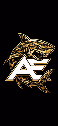 Apex Team