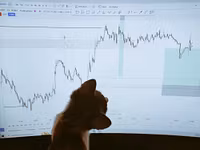 Archive Vault