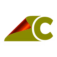 CyberWebPAGE