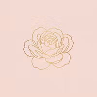 Bloom & Bahn